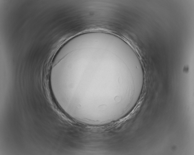 X0000116310193201001111145