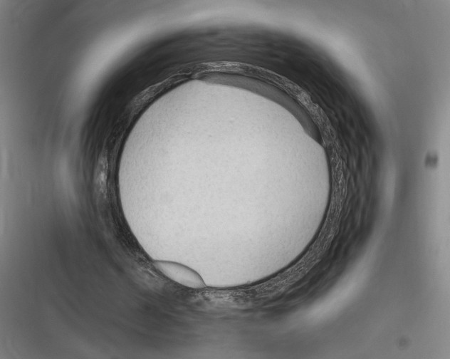 X0000116310194201001111145