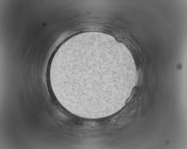 X0000116310195201001111145