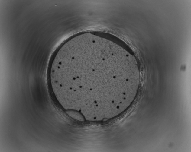 X0000116310196201001111145