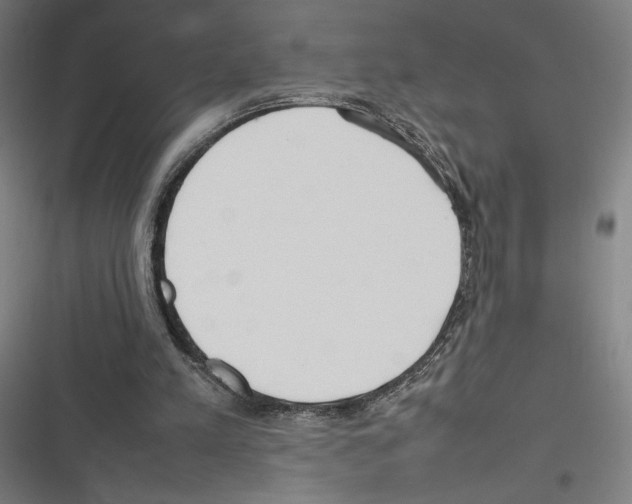 X0000116310197201001111145