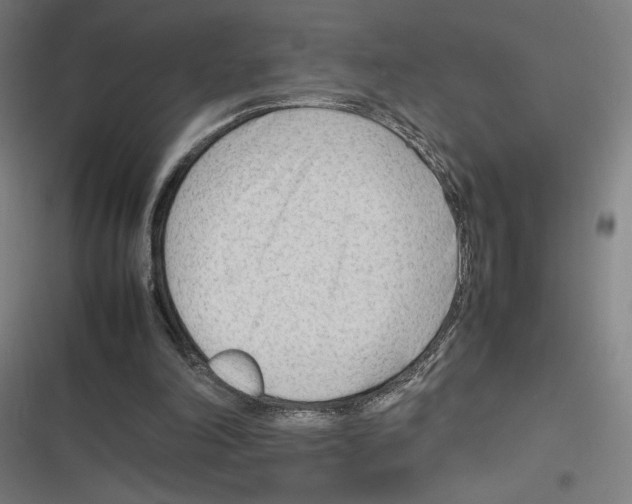 X0000116310198201001111145