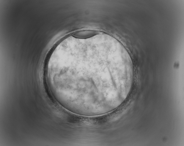 X0000116310199201001111145