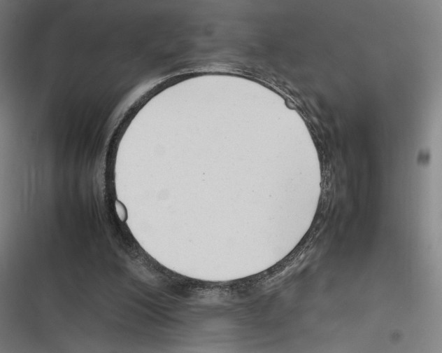 X0000116310200201001111145