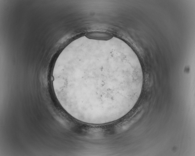 X0000116310203201001111145