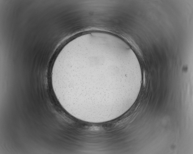 X0000116310204201001111145