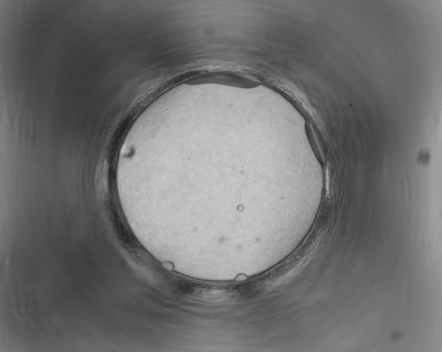 X0000116310205201001111145