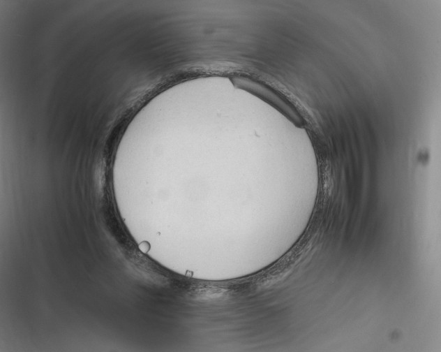 X0000116310206201001111145