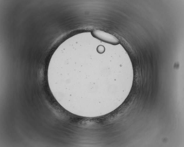 X0000116310208201001111145