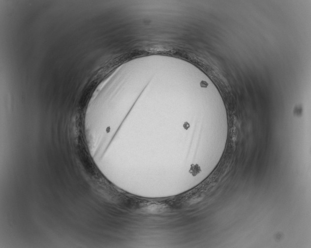 X0000116310210201001111145