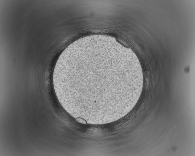 X0000116310211201001111145