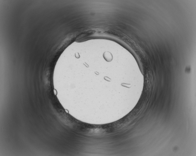 X0000116310212201001111145