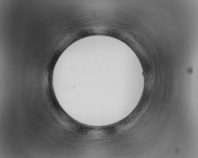 X0000116310213201001111145