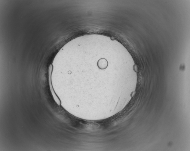 X0000116310215201001111145