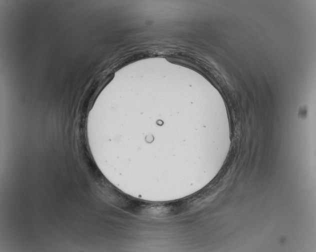 X0000116310217201001111145