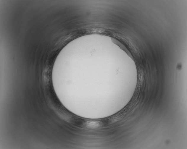 X0000116310218201001111145