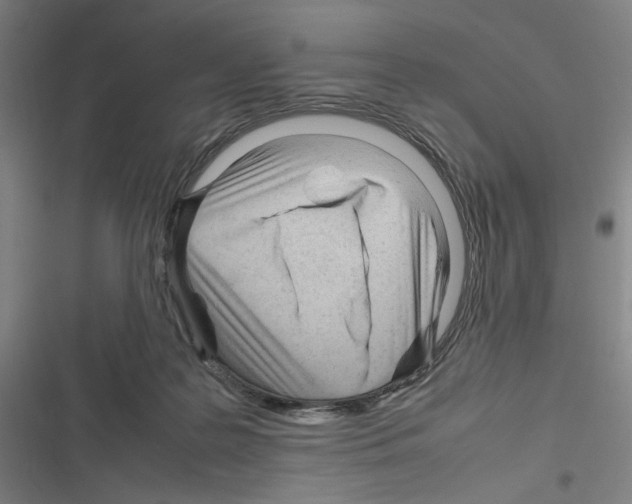 X0000116310219201001111145