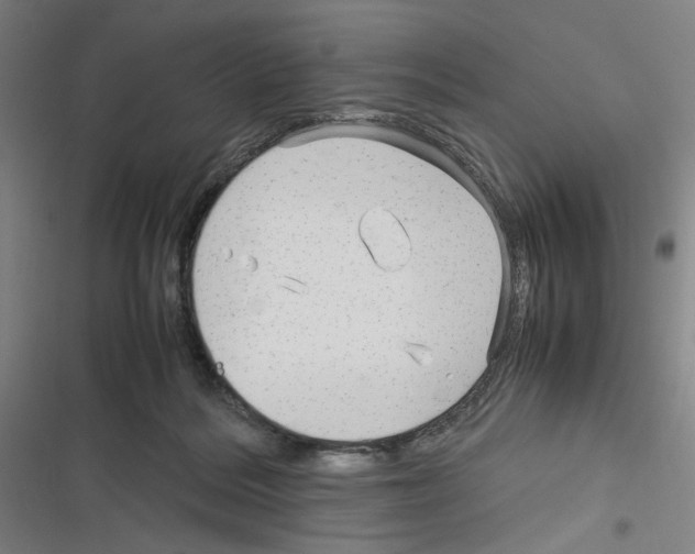 X0000116310220201001111145