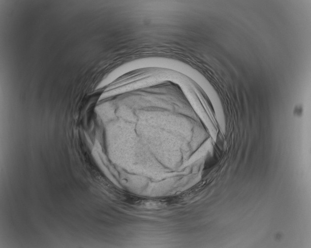 X0000116310223201001111145