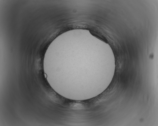 X0000116310224201001111145