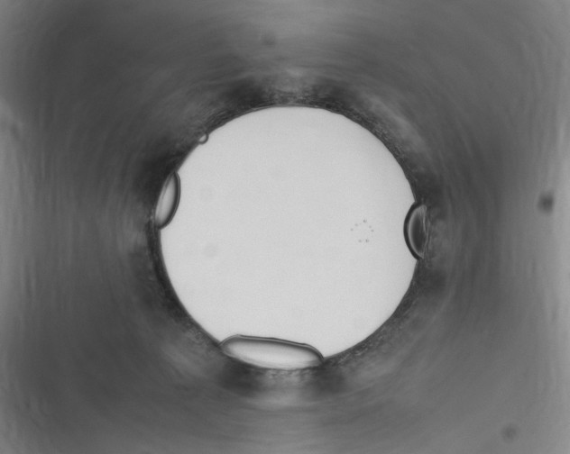 X0000116310225201001111145