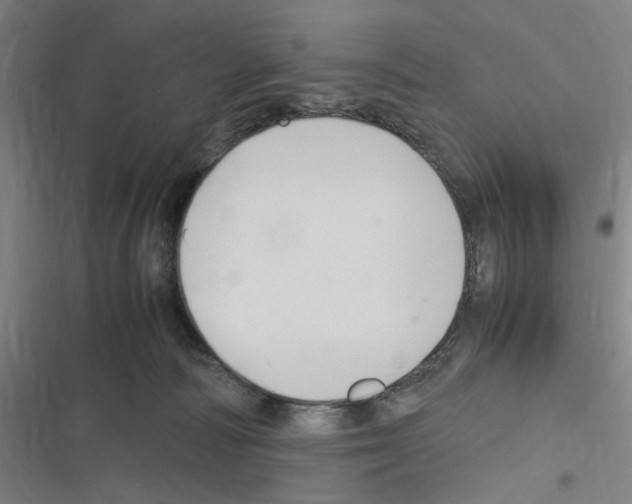 X0000116310226201001111145