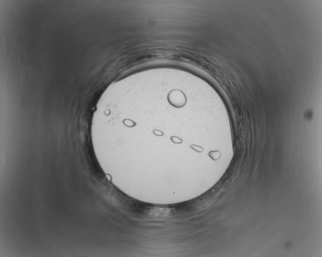 X0000116310227201001111145