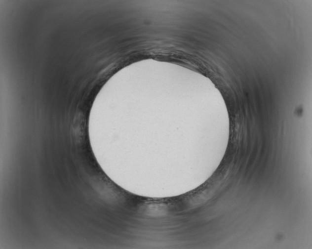 X0000116310228201001111145