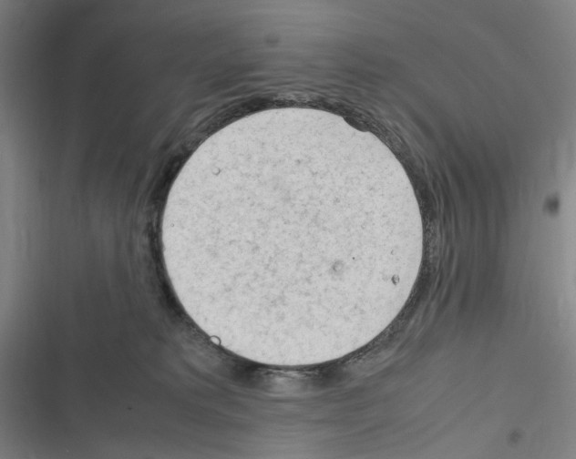 X0000116310229201001111145