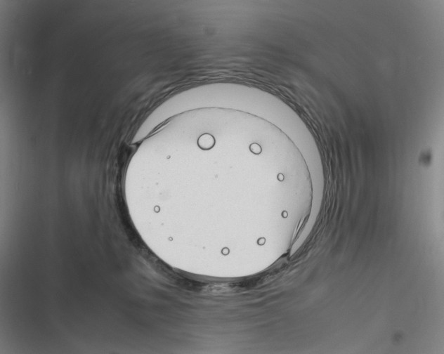 X0000116310231201001111145