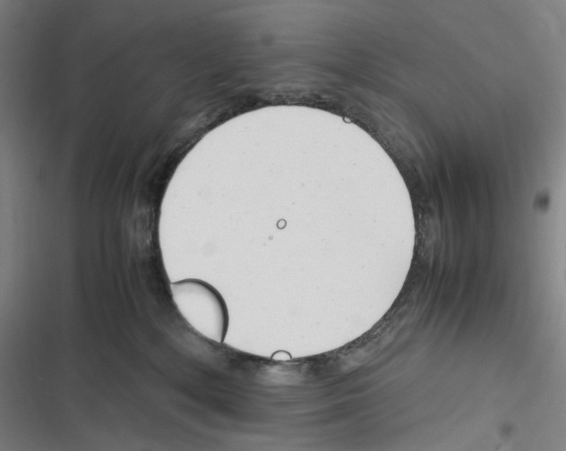 X0000116310232201001111145