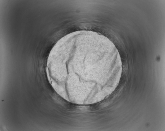 X0000116310233201001111145