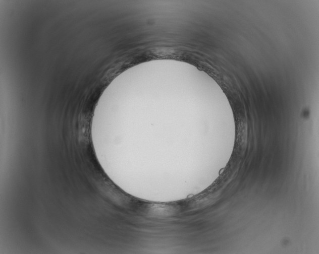 X0000116310234201001111145