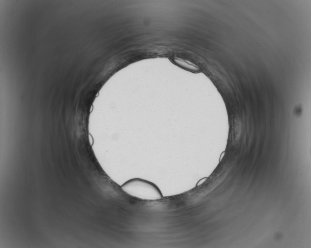 X0000116310236201001111145