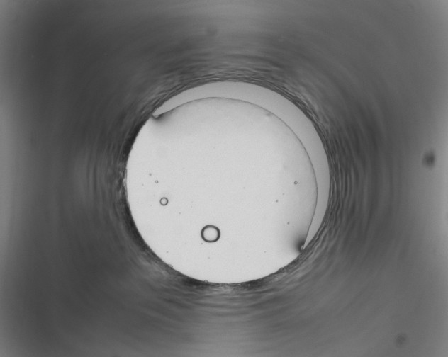 X0000116310237201001111145