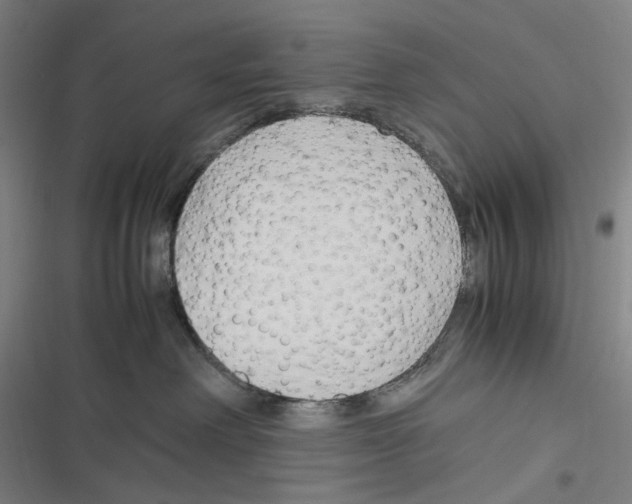 X0000116310238201001111145