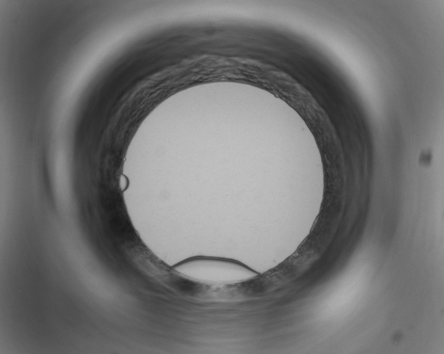 X0000116310239201001111145