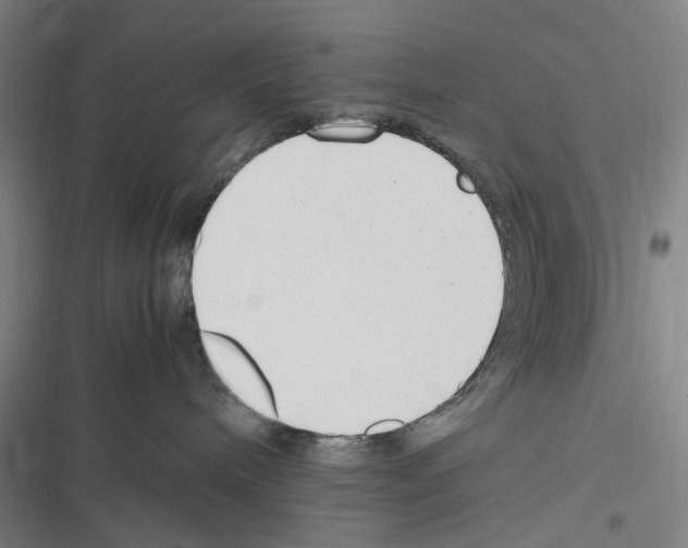 X0000116310240201001111145