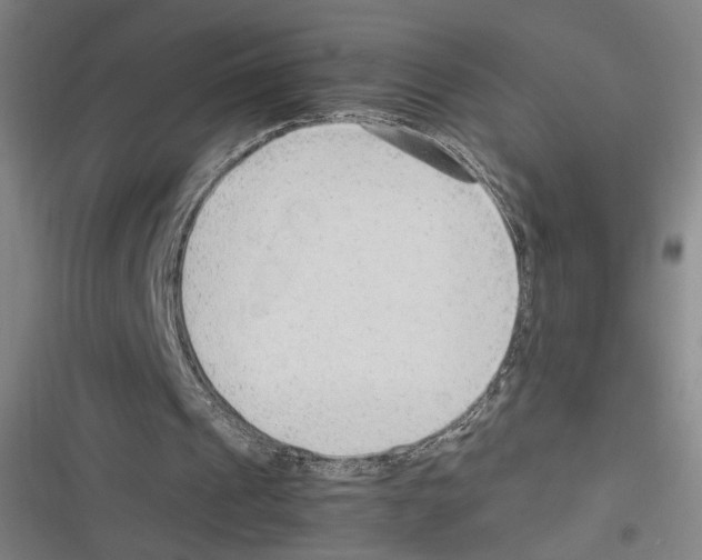 X0000116310241201001111144