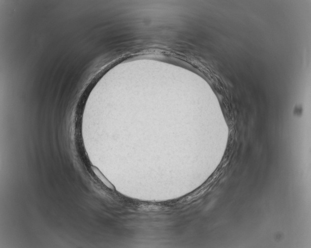 X0000116310242201001111144