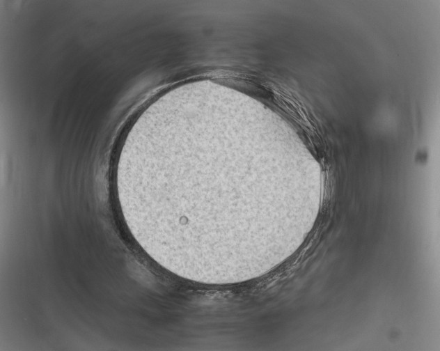 X0000116310243201001111144