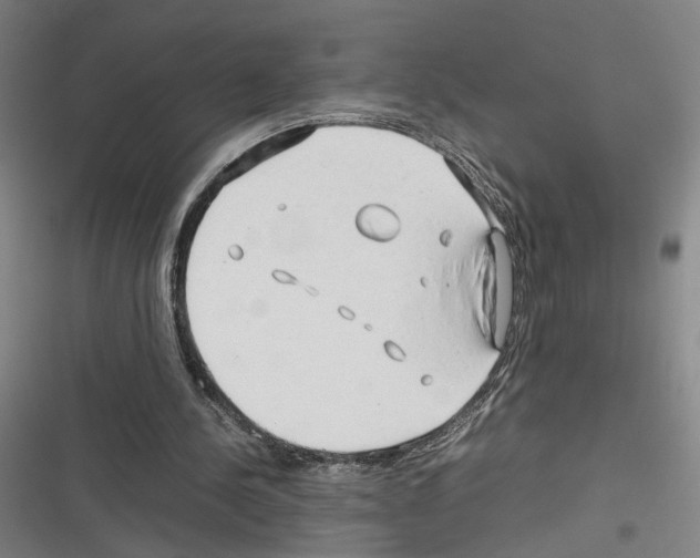 X0000116310244201001111144