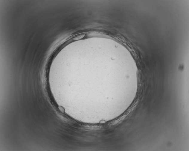 X0000116310245201001111144