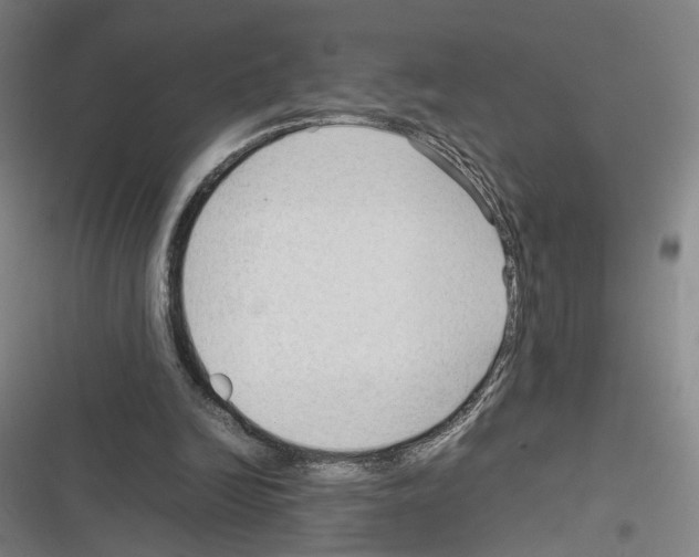 X0000116310246201001111144