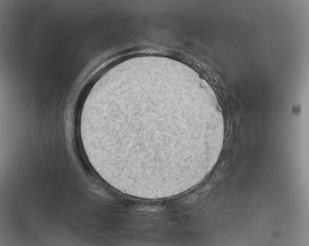 X0000116310247201001111144