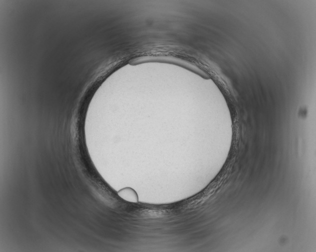 X0000116310250201001111144