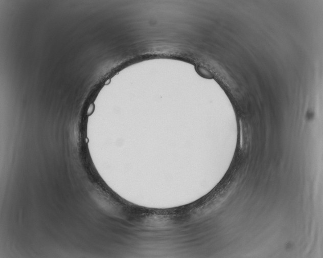 X0000116310252201001111144