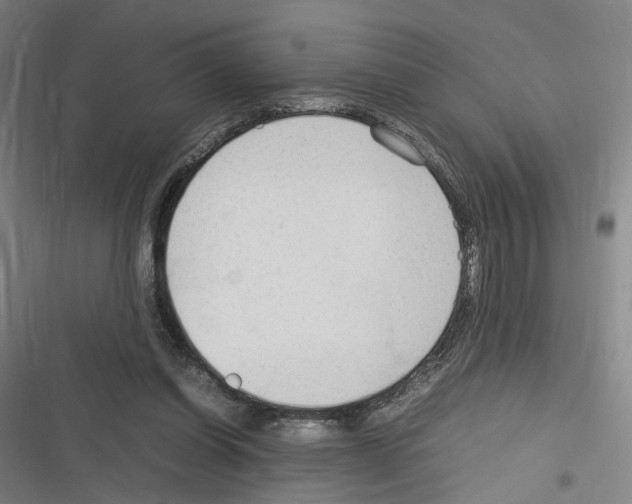 X0000116310254201001111144