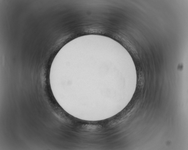 X0000116310255201001111144