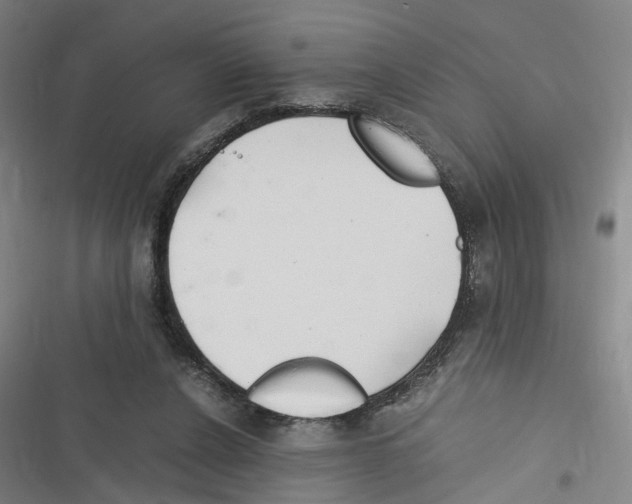 X0000116310256201001111144